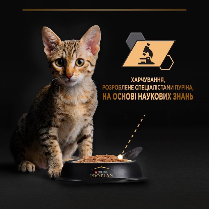 Вологий корм для кошенят Pro Plan Kitten Healthy Start pouch 85 г - індичка - masterzoo.ua