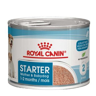 Вологий корм для цуценят та годуючих собак Royal Canin Royal Starter Mousse 195 г - masterzoo.ua