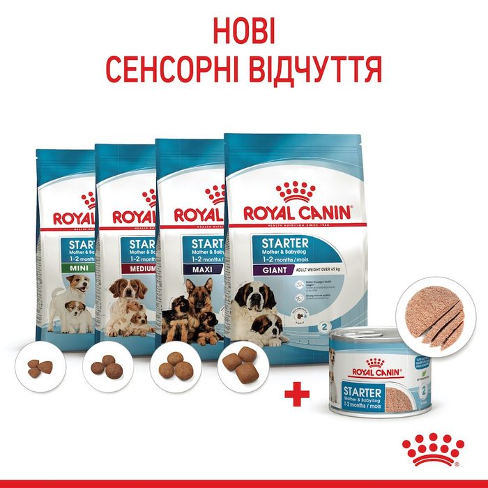 Вологий корм для цуценят та годуючих собак Royal Canin Royal Starter Mousse 195 г - masterzoo.ua