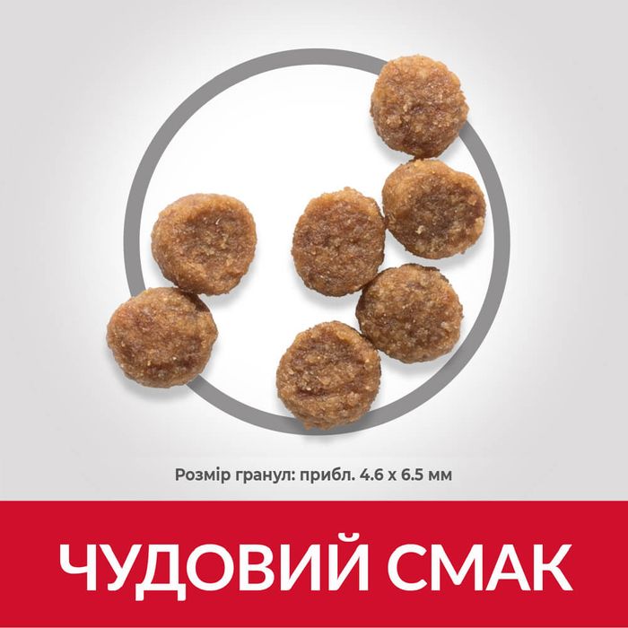 Сухий корм для цуценят Hill’s Science Plan Puppy Smal&Mini 300г - курка - masterzoo.ua