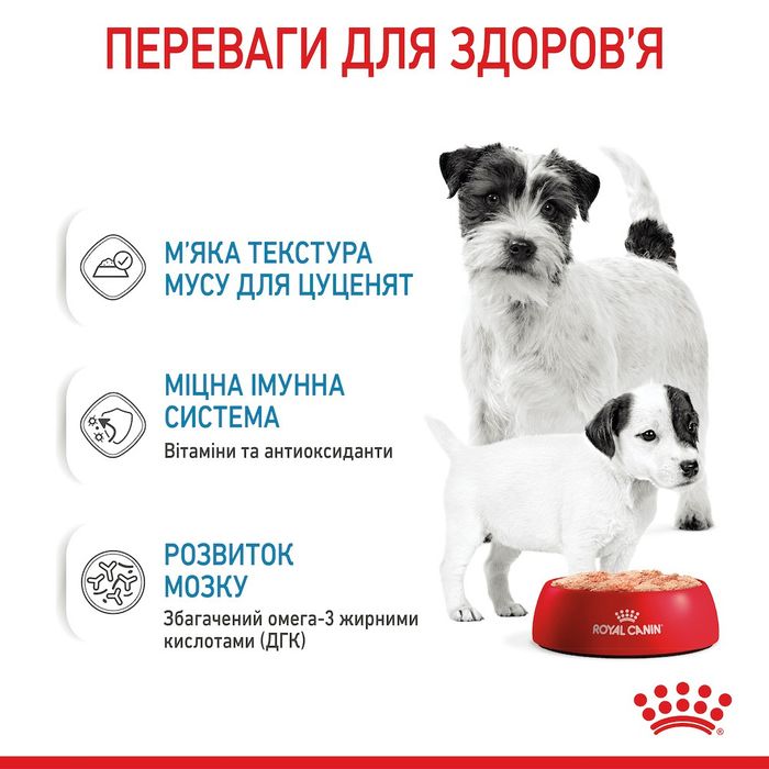 Вологий корм для цуценят та годуючих собак Royal Canin Royal Starter Mousse 195 г - masterzoo.ua