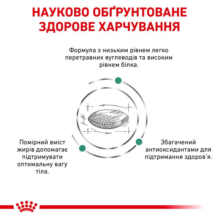 Сухий корм для котів Royal Canin Diabetic 1,5 кг - masterzoo.ua