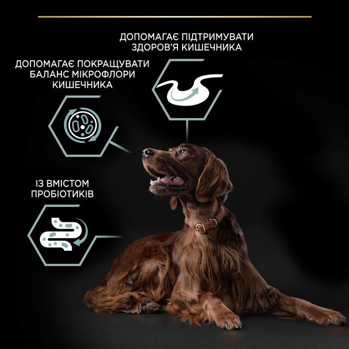 Pro Plan Large Athletic Adult Sensitive Digestion сухий корм для собак 14 кг - ягня - masterzoo.ua