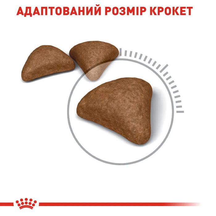 Сухий корм для котів Royal Canin Hairball Care 10 кг - masterzoo.ua