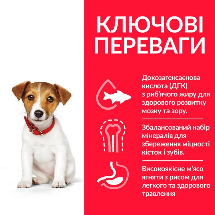 Сухий корм для цуценят Hill’s Science Plan Puppy Smal&Mini 1,5 кг - ягня та рис - masterzoo.ua