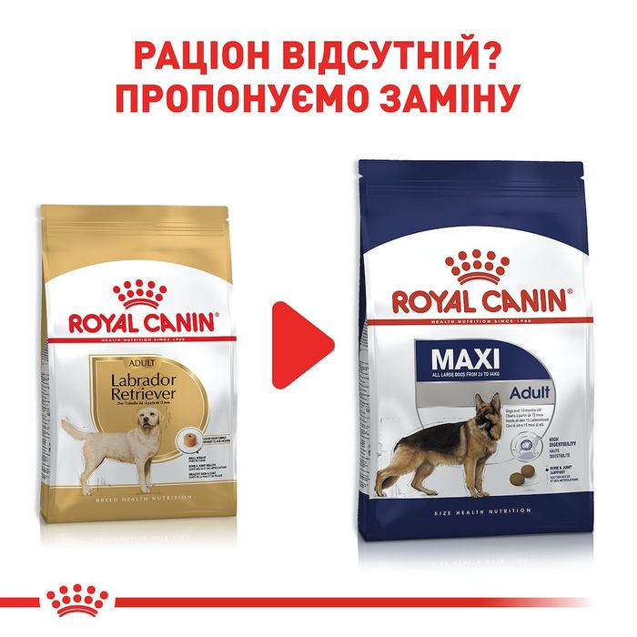 Сухий корм для дорослих собак великих порід Royal Canin Labrador Retriever Adult 12 кг - домашня птиця - masterzoo.ua