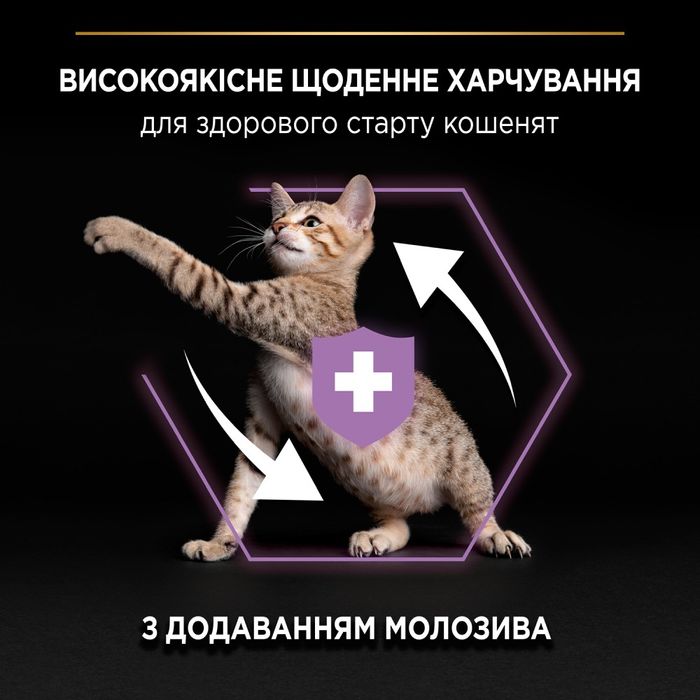 Сухий корм для кошенят Pro Plan Original Kitten Chicken 1,5 кг - курка - masterzoo.ua