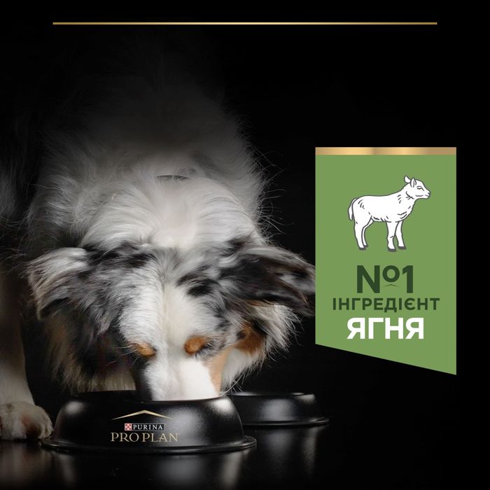 Сухий корм для собак ProPlan Medium Sensitive 3 кг - ягня - masterzoo.ua