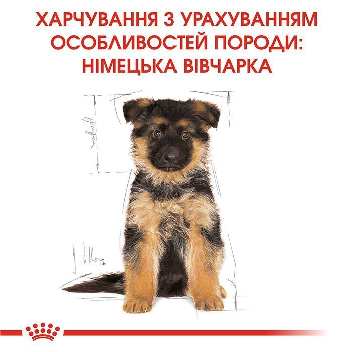 Сухий корм для цуценят Royal Canin German Shepherd Puppy 3 кг - masterzoo.ua