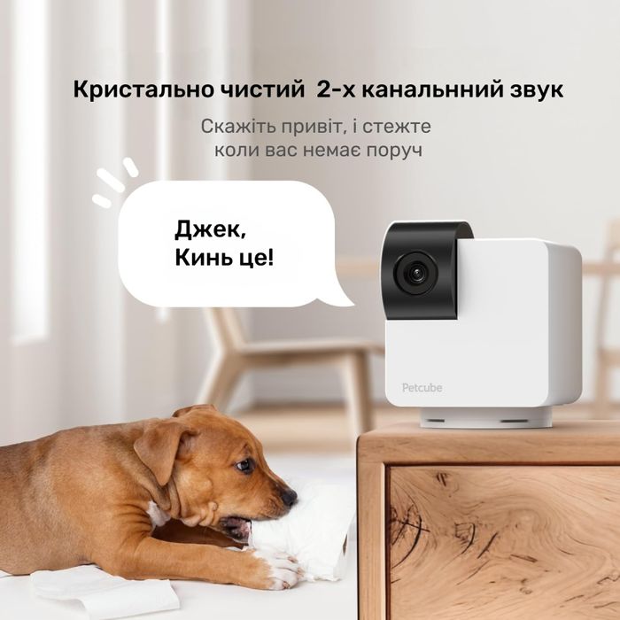 Інтерактивна HD-камера Petcube Cam 360 відеоспостереження за домашніми улюбленцями - cts - masterzoo.ua