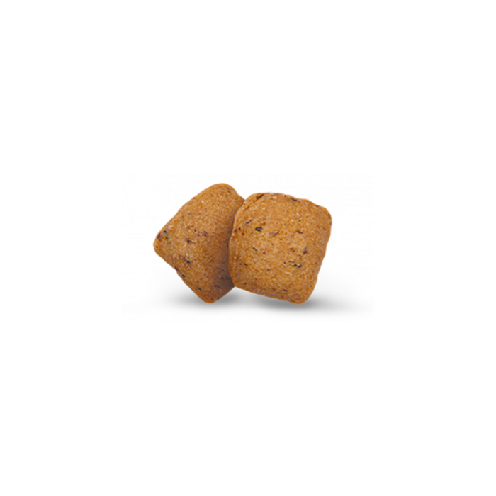 Сухий корм для собак Green Petfood InsectDog Adult Hypoallergen 900 г - комахи - masterzoo.ua