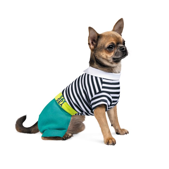 Костюм для собак Pet Fashion «Strip» XS (багатокольоровий) - masterzoo.ua