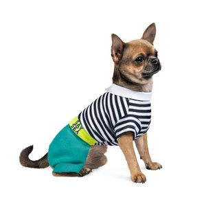 Костюм для собак Pet Fashion «Strip» S (багатокольоровий) - masterzoo.ua