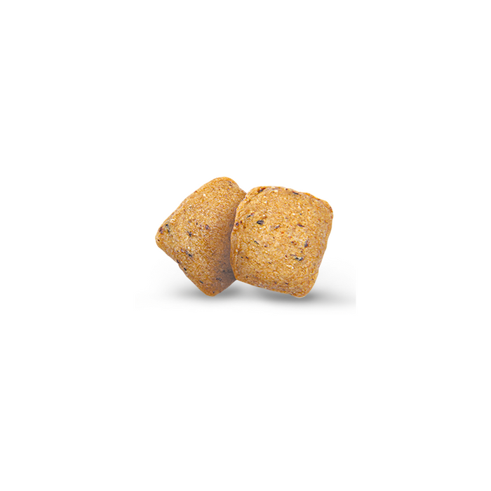 Сухий корм для собак Green Petfood VeggieDog Adult Grainfree 900 г - картопля та горох - masterzoo.ua