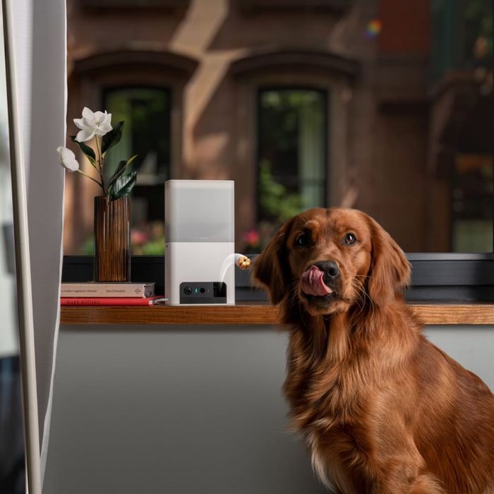 Petcube Bites 2 lite інтерактивна камера-годівниця для собак - білий - masterzoo.ua