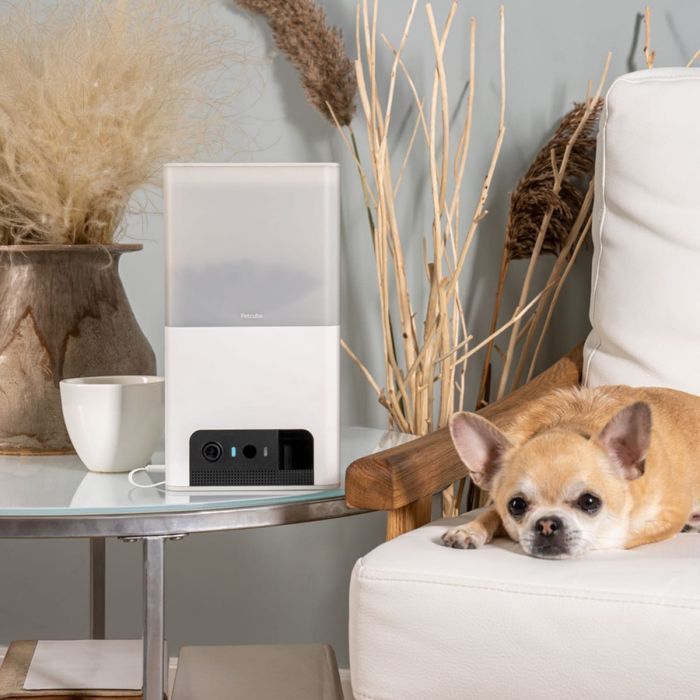 Petcube Bites 2 lite інтерактивна камера-годівниця для собак - білий - masterzoo.ua