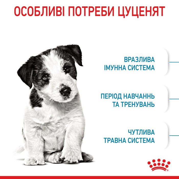 Сухий корм для цуценят Royal Canin Mini Puppy 8 кг - masterzoo.ua