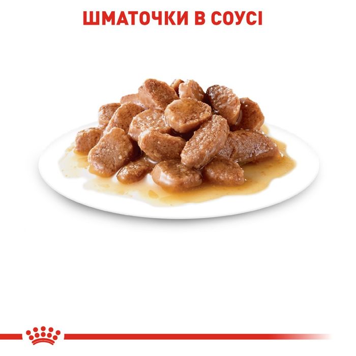 Вологий корм для котів Royal Canin Ageing 12+ Sauce pouch 85 г - masterzoo.ua