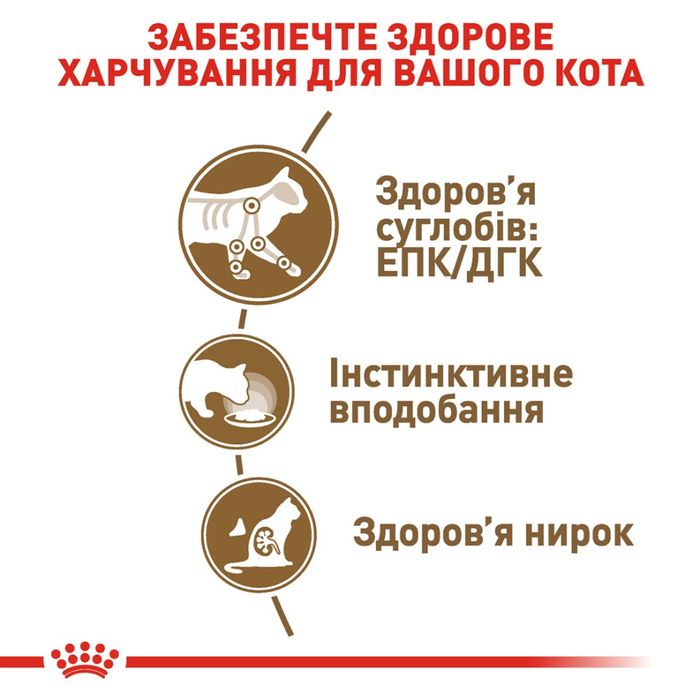 Вологий корм для котів Royal Canin Ageing 12+ Sauce pouch 85 г - masterzoo.ua