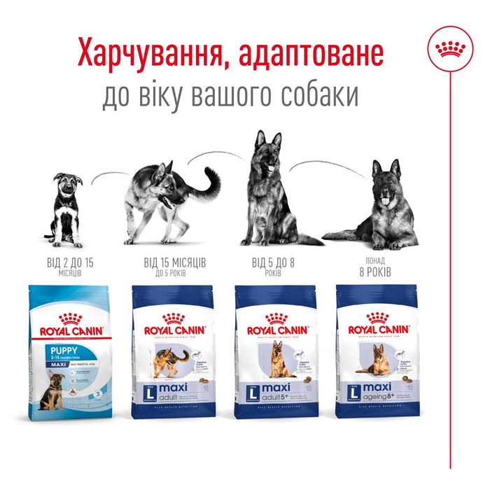 Сухий корм для собак Royal Canin Maxi Ageing 8+, 15 кг - masterzoo.ua