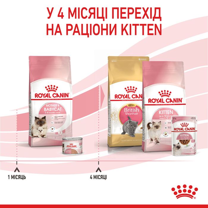 Сухий корм для кошенят Royal Canin Mother & Babycat 10 кг - masterzoo.ua