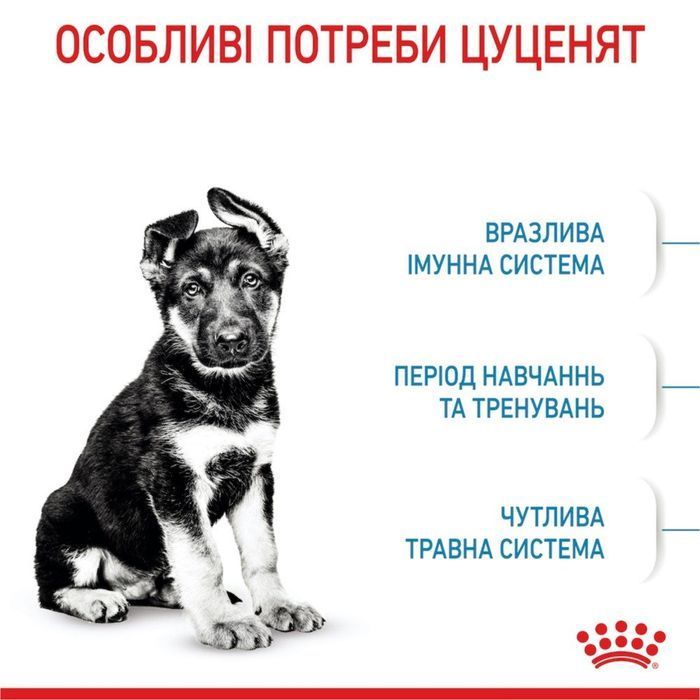 Royal Canin Maxi Puppy сухий корм для цуценят 1 кг - masterzoo.ua