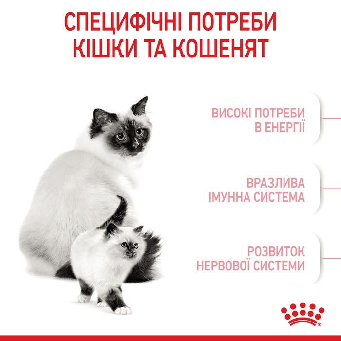 Сухий корм для кошенят Royal Canin Mother & Babycat 10 кг - masterzoo.ua