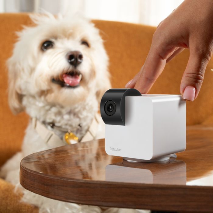 Інтерактивна HD-камера Petcube Cam 360 для відеоспостереження за гризунами - masterzoo.ua
