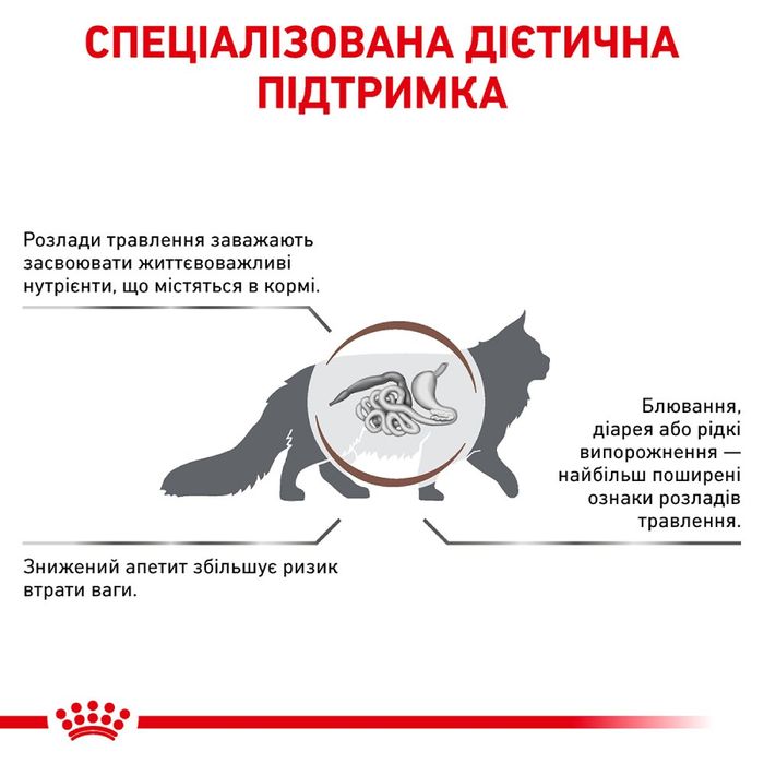 Сухий корм для котів Royal Canin Gastro Intestinal 4 кг - masterzoo.ua