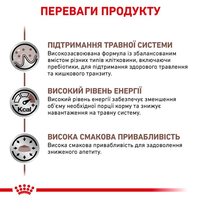 Сухий корм для котів Royal Canin Gastro Intestinal 4 кг - masterzoo.ua