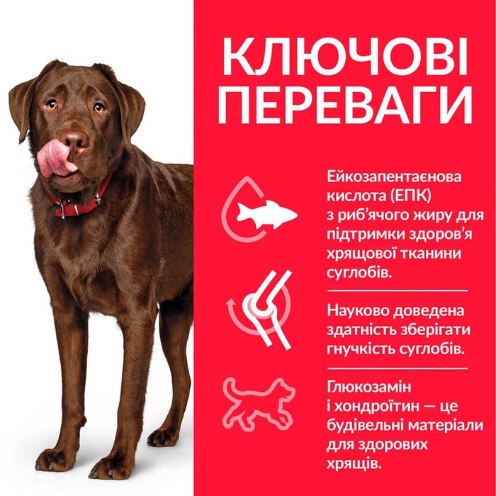 Сухий корм для собак Hill’s Science Plan Adult Healthy Mobility Large Breed 14 кг - курка - masterzoo.ua