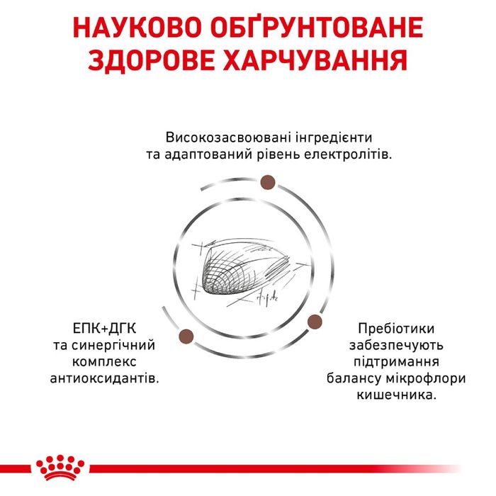 Сухий корм для котів Royal Canin Gastro Intestinal 4 кг - masterzoo.ua