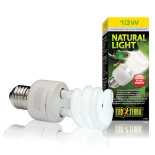 Компактна люмінесцентна лампа Exo Terra Natural Light для опромінення променями УФ-В спектра 13 W, E27 - masterzoo.ua