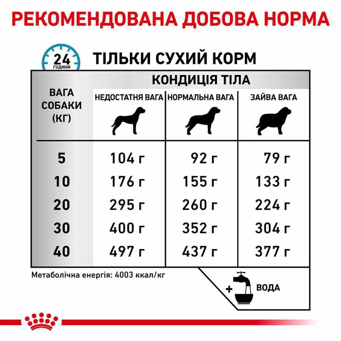 Сухий корм для собак Royal Canin Anallergenic 3 кг - masterzoo.ua