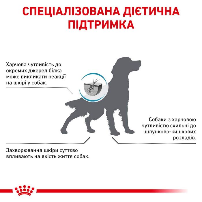 Сухий корм для собак Royal Canin Anallergenic 3 кг - masterzoo.ua