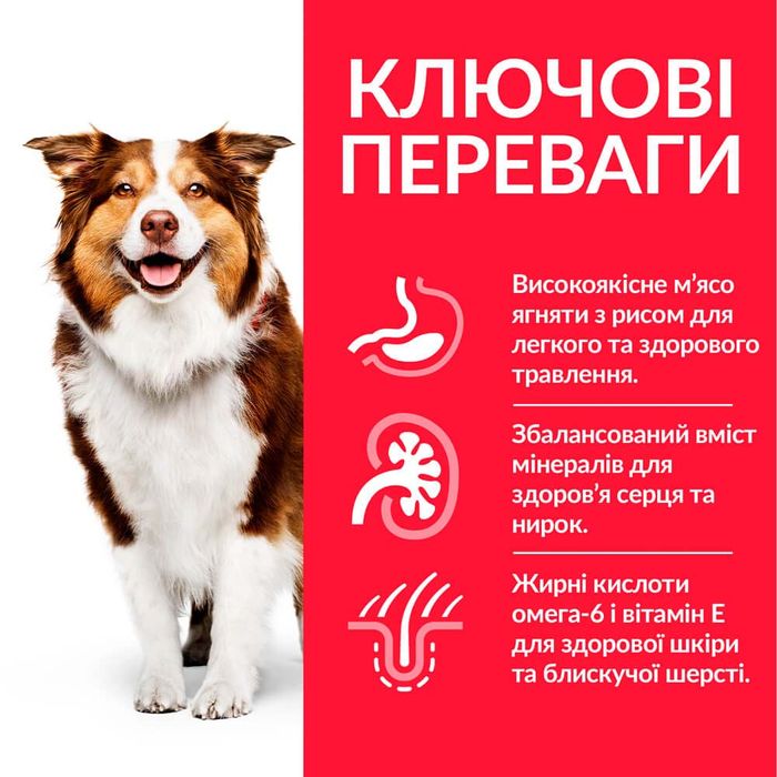 Сухий корм для собак Hill’s Science Plan Mature Adult 7+ Medium Breed 14 кг - ягня та рис - masterzoo.ua