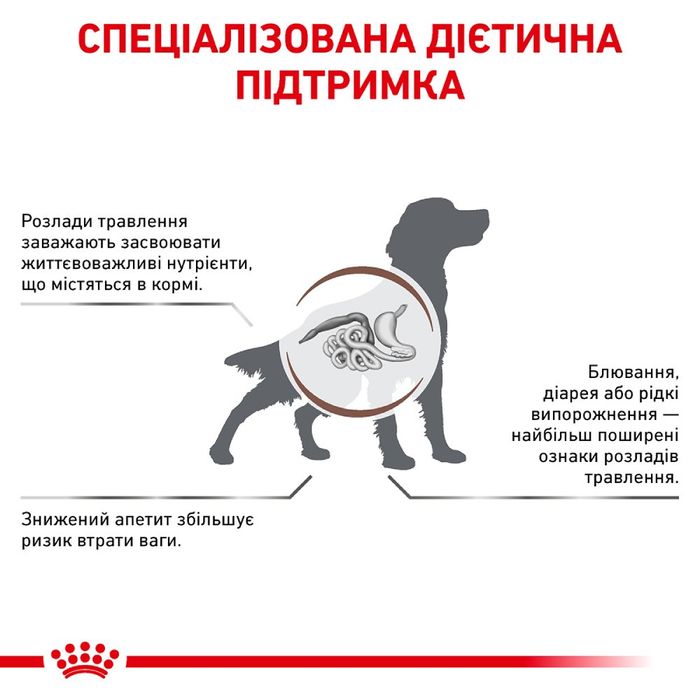 Сухий корм для собак Royal Canin Gastro Intestinal 2 кг - masterzoo.ua