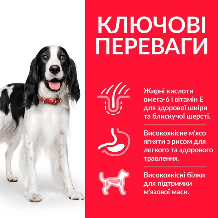 Сухий корм для собак Hill’s Science Plan Adult Medium Breed 2,5 кг - ягня та рис - masterzoo.ua