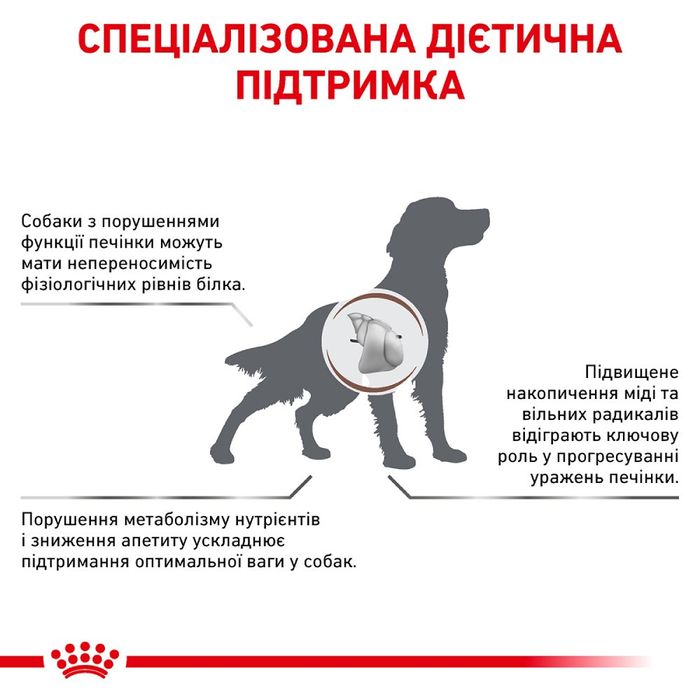 Сухий корм для собак Royal Canin Hepatic 1,5 кг - masterzoo.ua