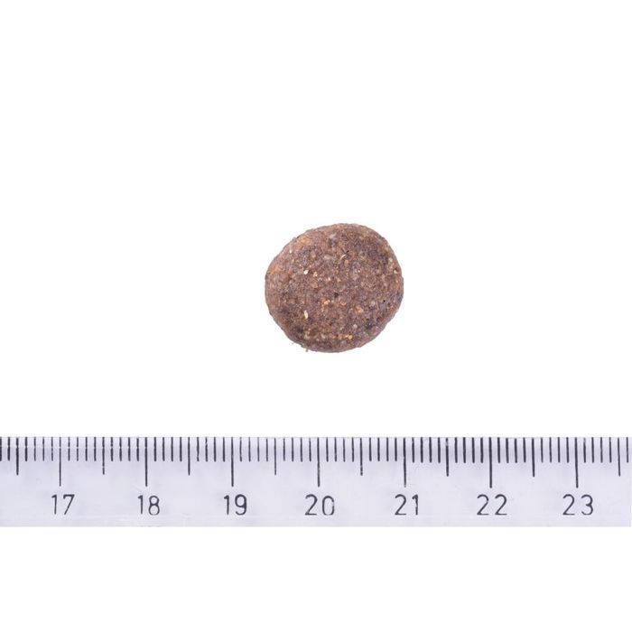 Brit Care Grain-free Junior Large Breed сухий корм для цуценят 1 кг - лосось - masterzoo.ua