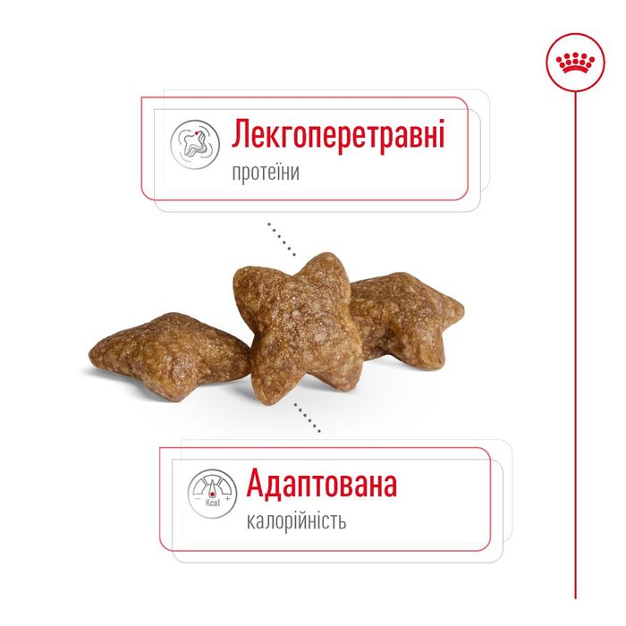 Сухий корм для собак Royal Canin Mini Adult 4 кг - masterzoo.ua