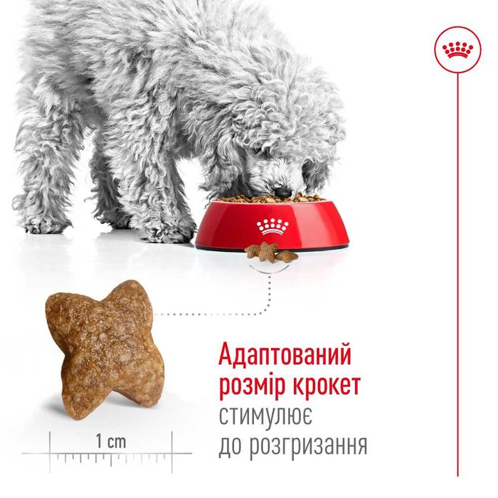 Сухий корм для собак Royal Canin Mini Adult 4 кг - masterzoo.ua