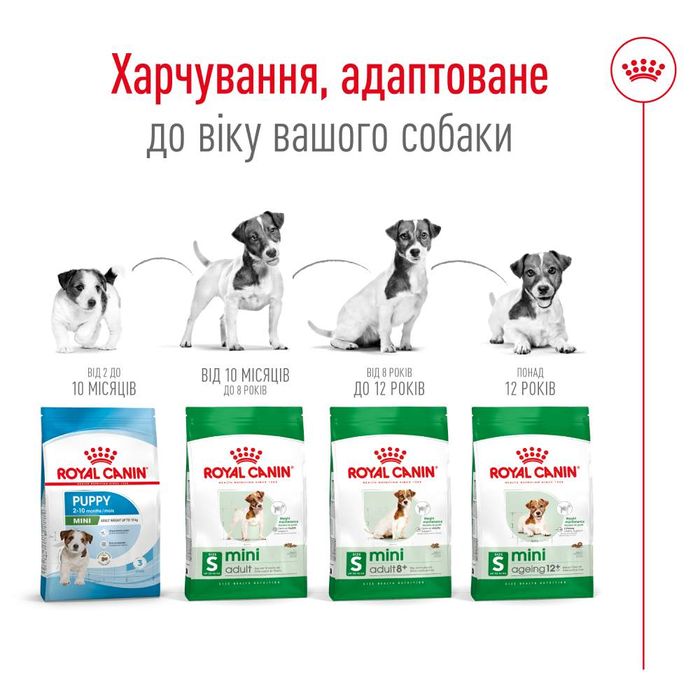 Сухий корм для собак Royal Canin Mini Adult 4 кг - masterzoo.ua