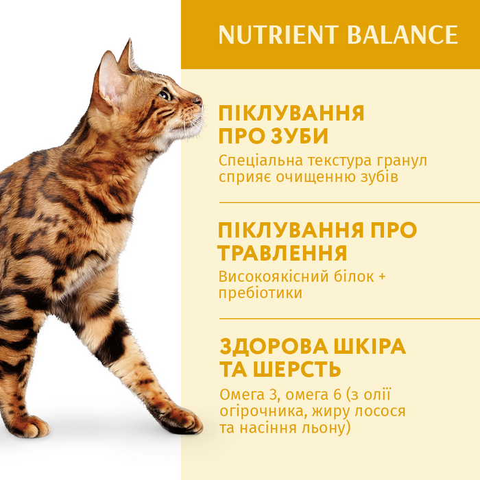 Сухий корм Optimeal Adult Cat Chicken для дорослих котів 700 г - курка - masterzoo.ua