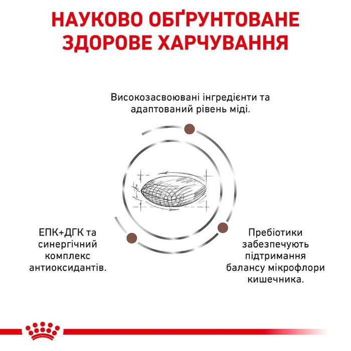 Сухий корм для собак Royal Canin Hepatic 12 кг - masterzoo.ua