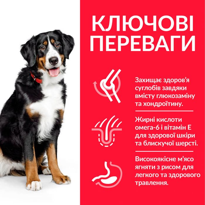 Сухий корм для собак Hill’s Science Plan Adult Large Breed 14 кг - ягня та рис - masterzoo.ua