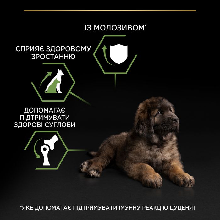 Сухий корм для цуценят великих порід Pro Plan Puppy large Robust 12 кг (курка) - masterzoo.ua