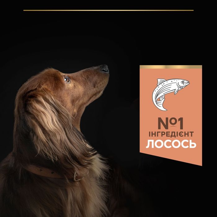 Сухий корм для собак Purina Pro Plan Small & Mini Sensitive 7 кг - лосось - masterzoo.ua