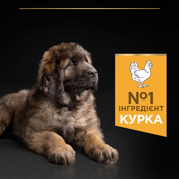 Сухий корм для цуценят великих порід Pro Plan Puppy large Robust 12 кг (курка) - masterzoo.ua