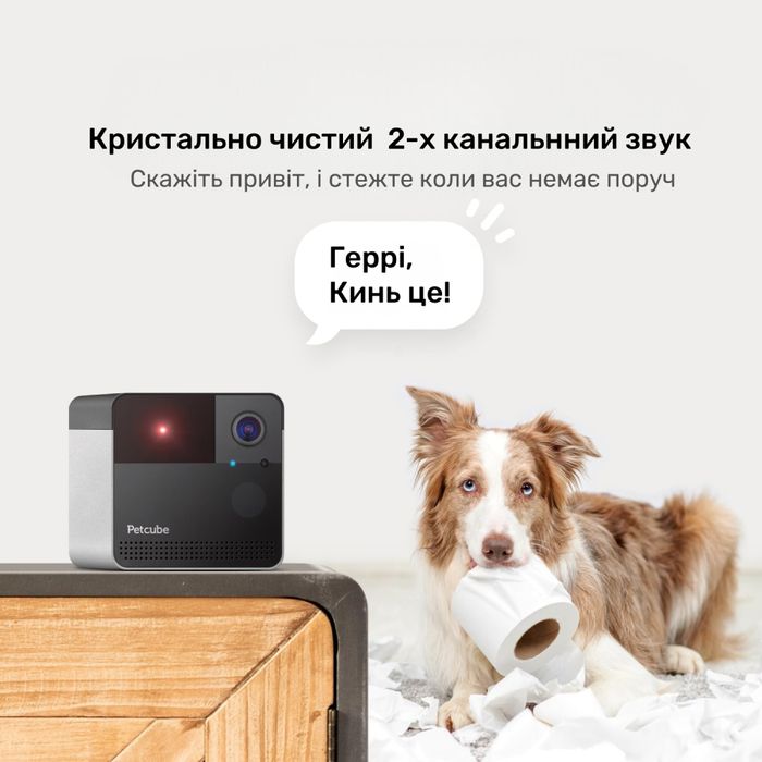 Інтерактивна HD-камера Petcube Play 2 відеоспостереження за домашніми улюбленцями - masterzoo.ua